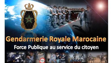 Gendarmerie Royale Concours Cavaliers