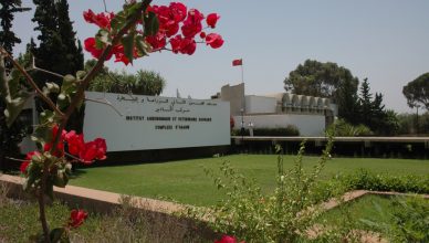 Institut Agronomique et Vétérinaire IAV CHA Agadir