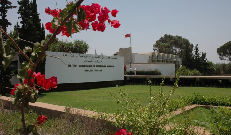 Institut Agronomique et Vétérinaire IAV CHA Agadir